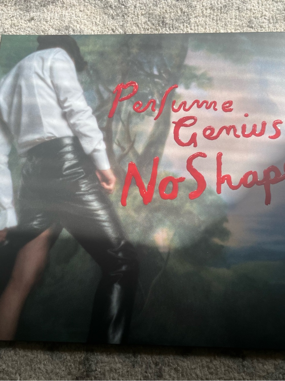 No Shape by Perfume Genius (EX 12”, Double LP) vinyl record